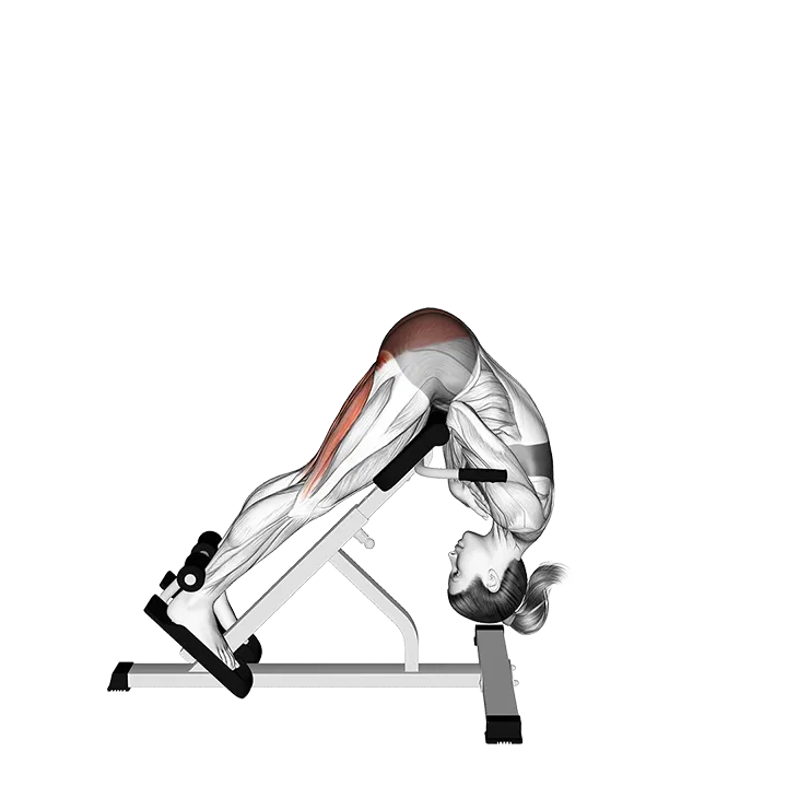 45 Degree Hip Extension Glute Focused (VERSION 2) exercise animation (Female)