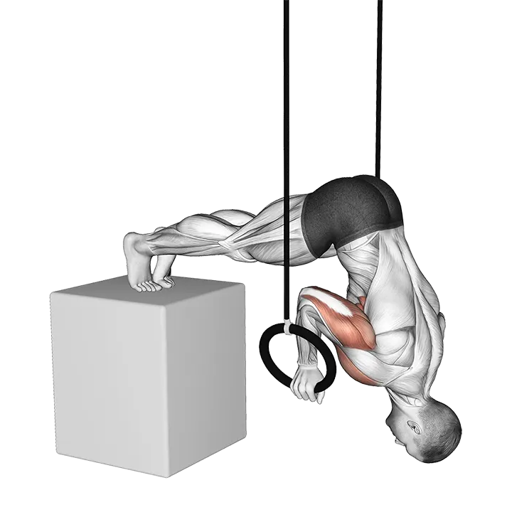 Ring Elevanted Pike Push-up from deficit exercise animation (Male)
