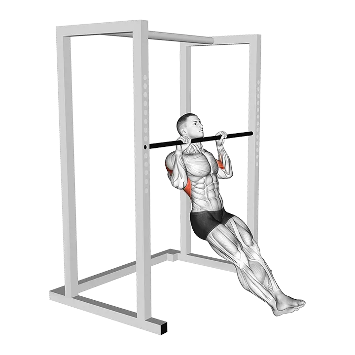 Seated Isometric Hold Pull up exercise animation (Male)