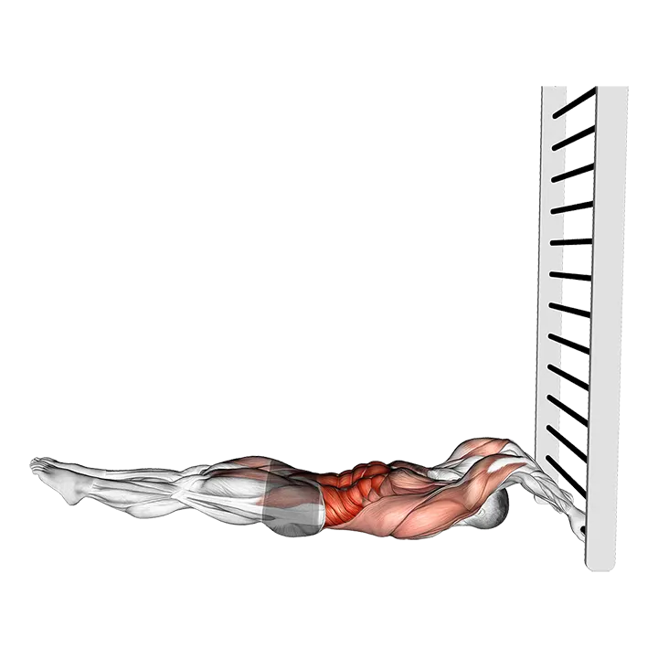 Lying Floor Negative Dragon Flag exercise animation (Male)