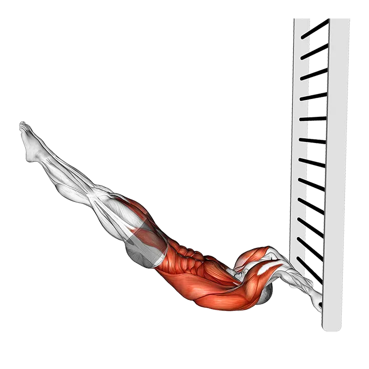 Lying Floor Negative Half Dragon Flag exercise animation (Male)
