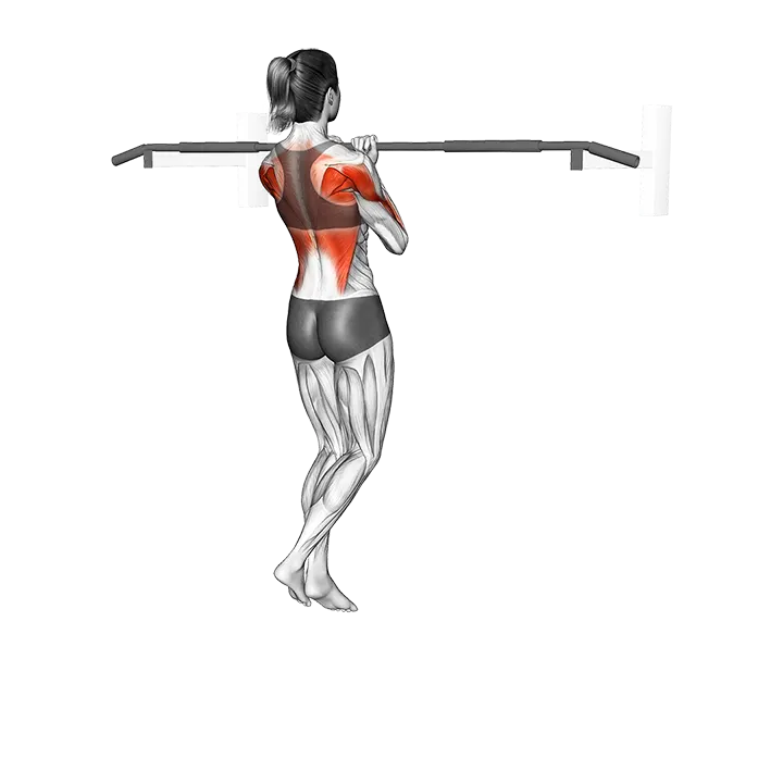 Isometric Hold Close Grip Chin-up exercise animation (Female)