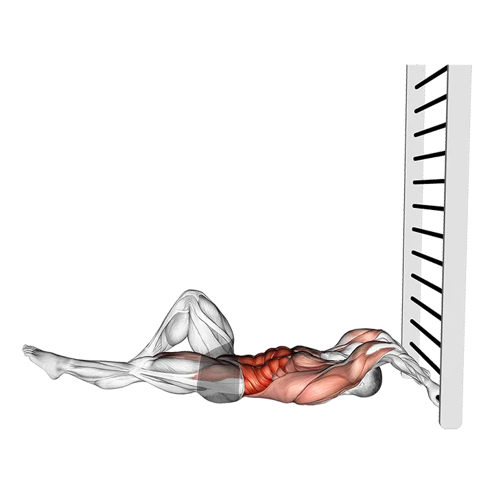 Lying Floor Single Leg Negative Dragon Flag exercise animation (Male)