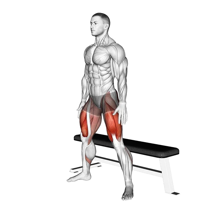 Wide Bench Air Squat exercise animation (Male)