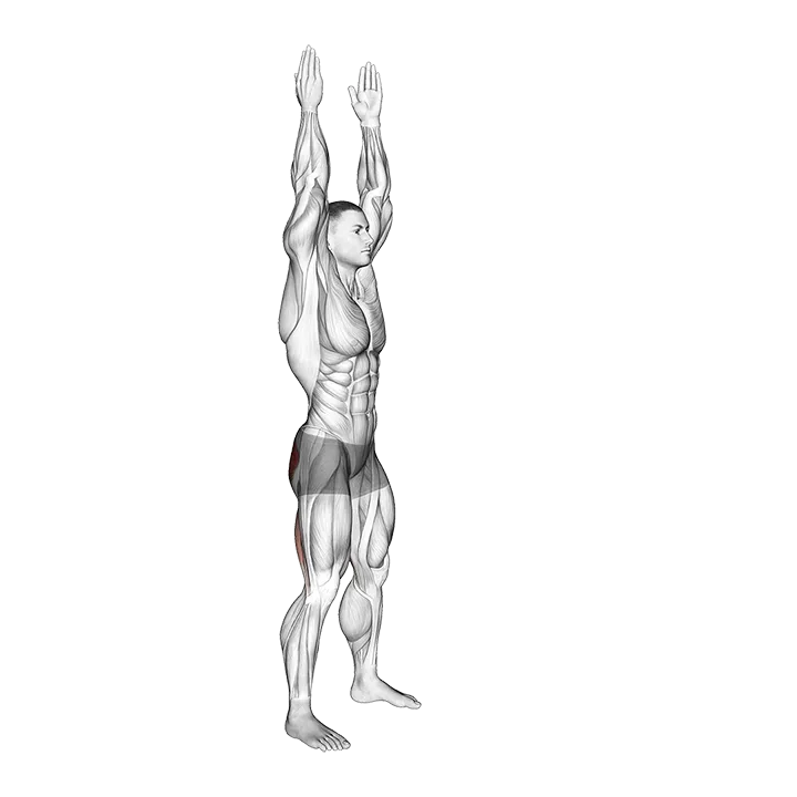 Long Lever Standing Hip Extension exercise animation (Male)
