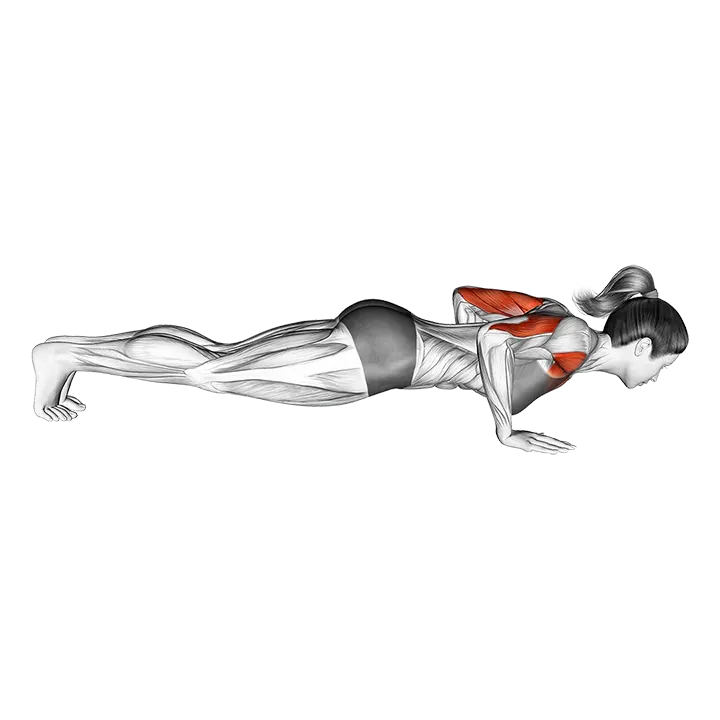 Isometric Hold Push-up exercise animation (Female)