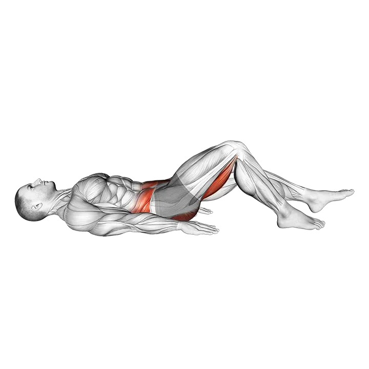 Single Leg Hamstring Bridge exercise animation (Male)