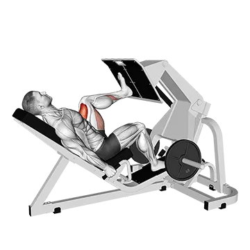 Lever Angled Single Leg Press