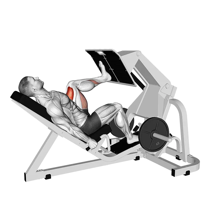 Lever Angled Single Leg Press exercise animation (Male)