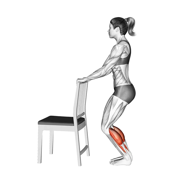 Standing Bent Knee Calf Raise with a Chair Support exercise animation (Female)