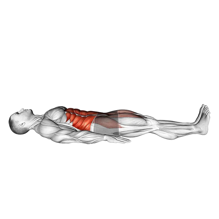 Lying Floor 6 Inch Hold exercise animation (Male)