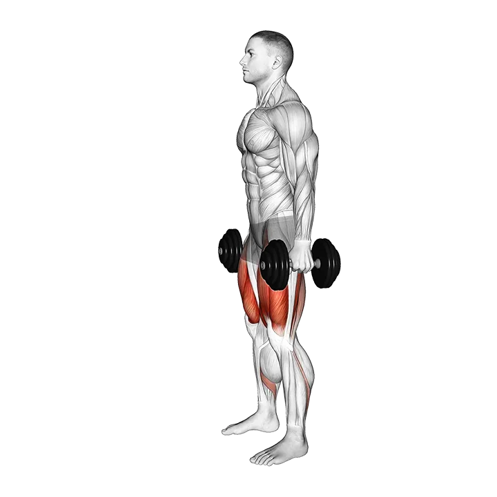 Dumbbell Romanian Deadlift to Squat exercise animation (Male)