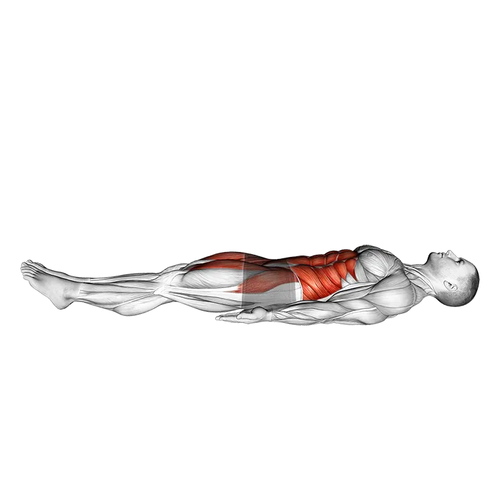 Dish Hold exercise animation (Male)