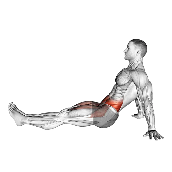 Siting Floor Leg Raise exercise animation (Male)