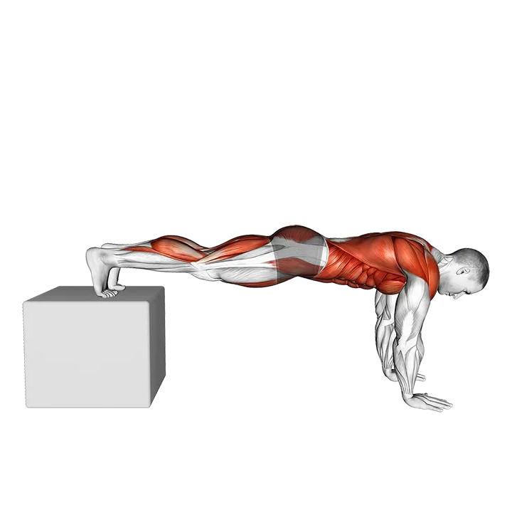 Pike Stand exercise animation (Male)