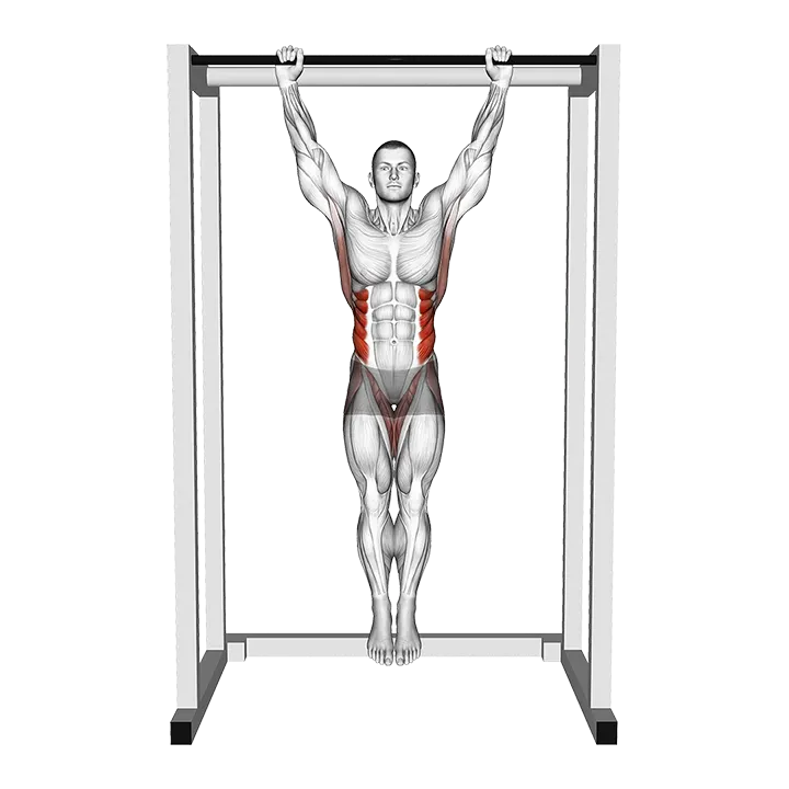 Hanging Side Lean exercise animation (Male)