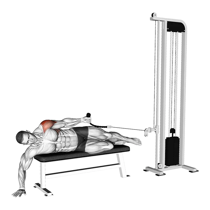 Cable Side Lying Single Arm Lateral Raise exercise animation (Male)