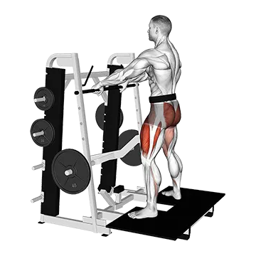 Lever Belt Sumo Squat