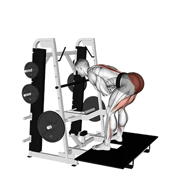 Lever Belt Romanian Deadlift