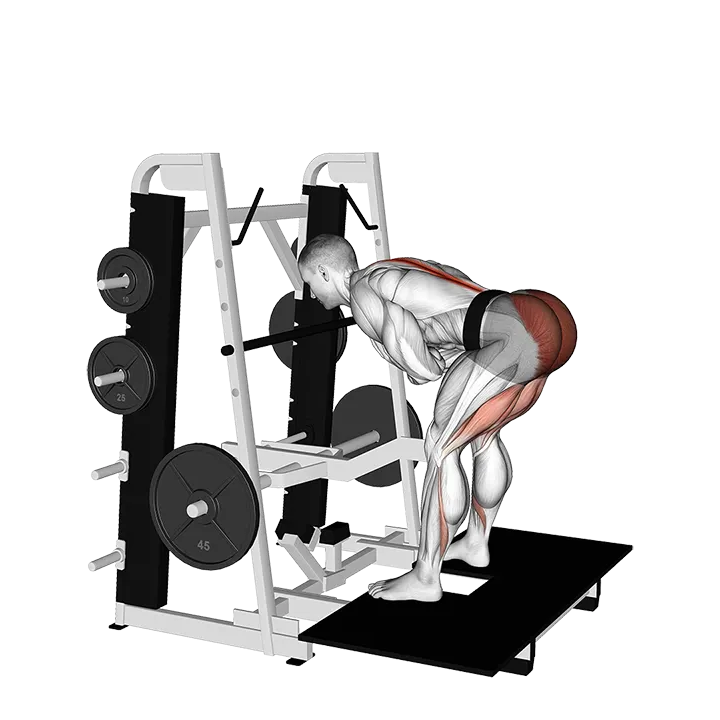 Lever Belt Romanian Deadlift exercise animation (Male)