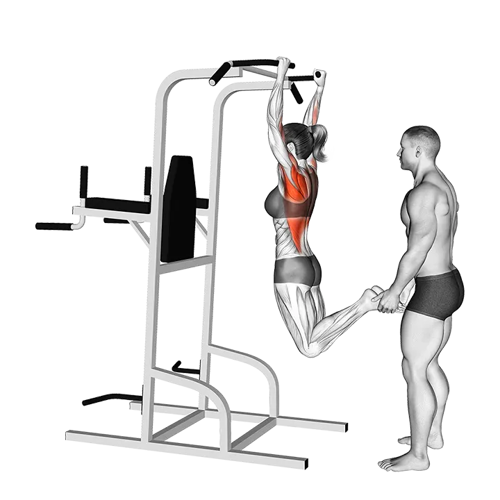 Partner Assisted Pull-up exercise animation (Female)