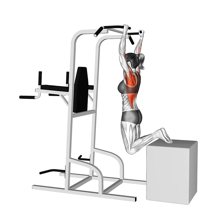 Box Assisted Pull-up exercise animation (Female)