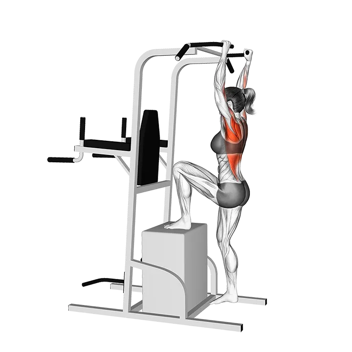 Box Single Leg Assisted Pull-up exercise animation (Female)