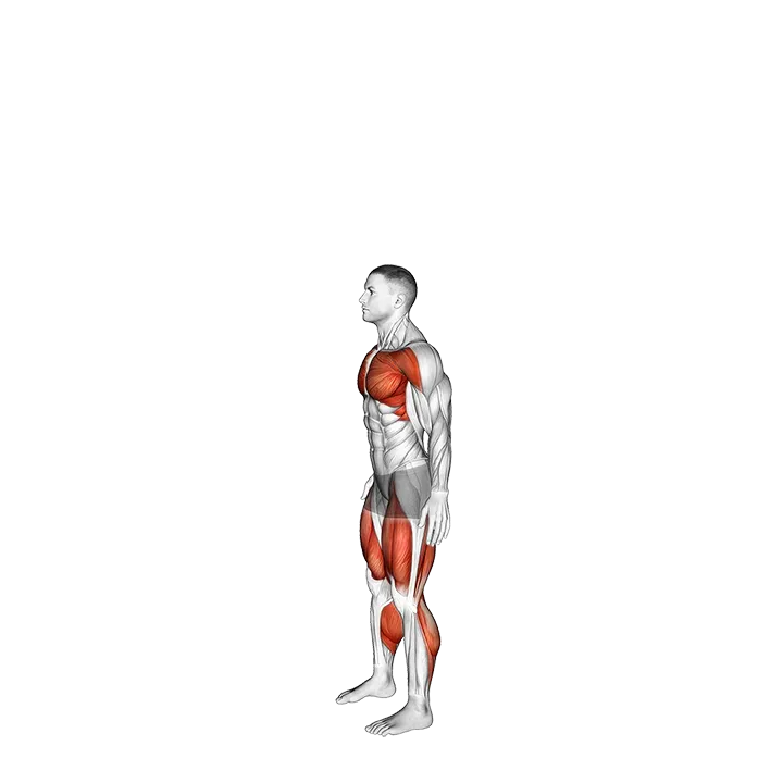 Countermovement Jump Arms Pull exercise animation (Male)