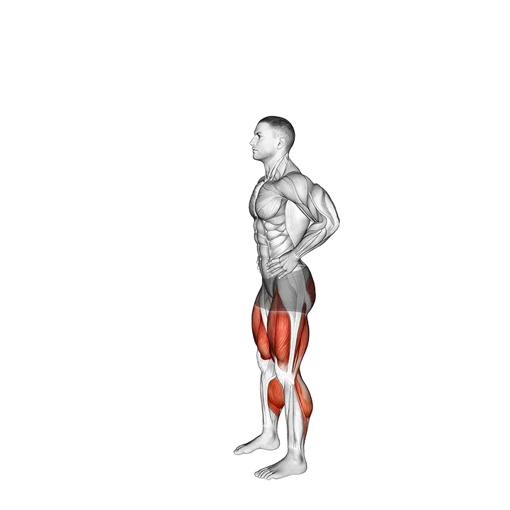 Countermovement Jump Arms on Hip exercise animation (Male)