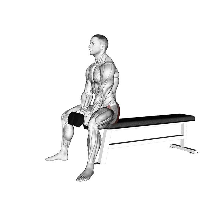 Dumbbell Sitting Good Morning exercise animation (Male)