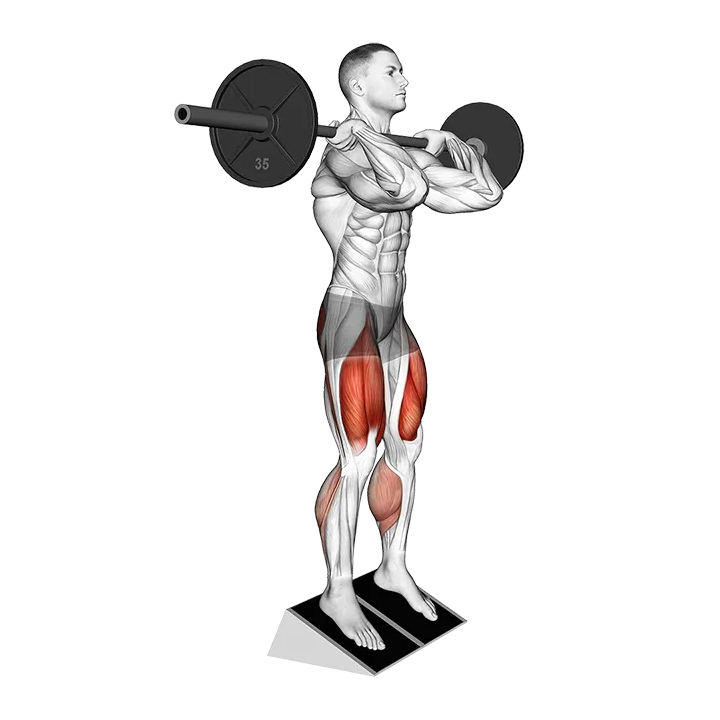 Barbell Elevated Heel Clean Grip Squat exercise animation (Male)