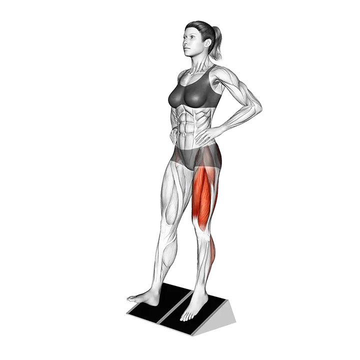 Bodyweight Poliquin Step exercise animation (Female)