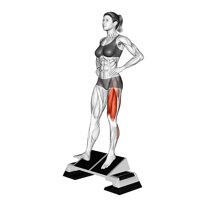 Bodyweight Poliquin Step from StepBox exercise animation (Female)