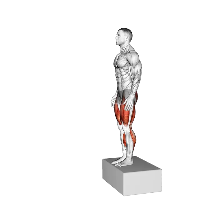 Box Drop Jump exercise animation (Male)