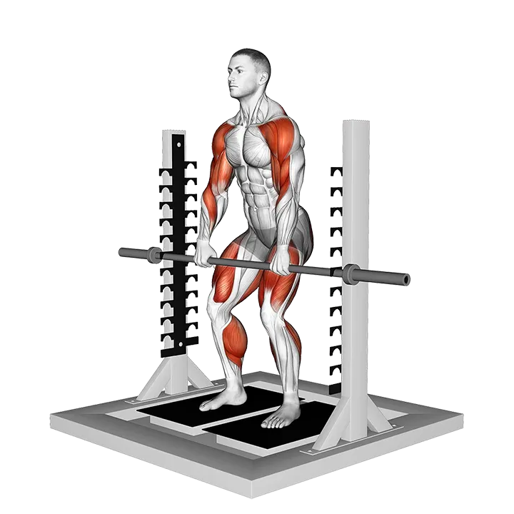Isometric Mid Thighs Pull exercise animation (Male)