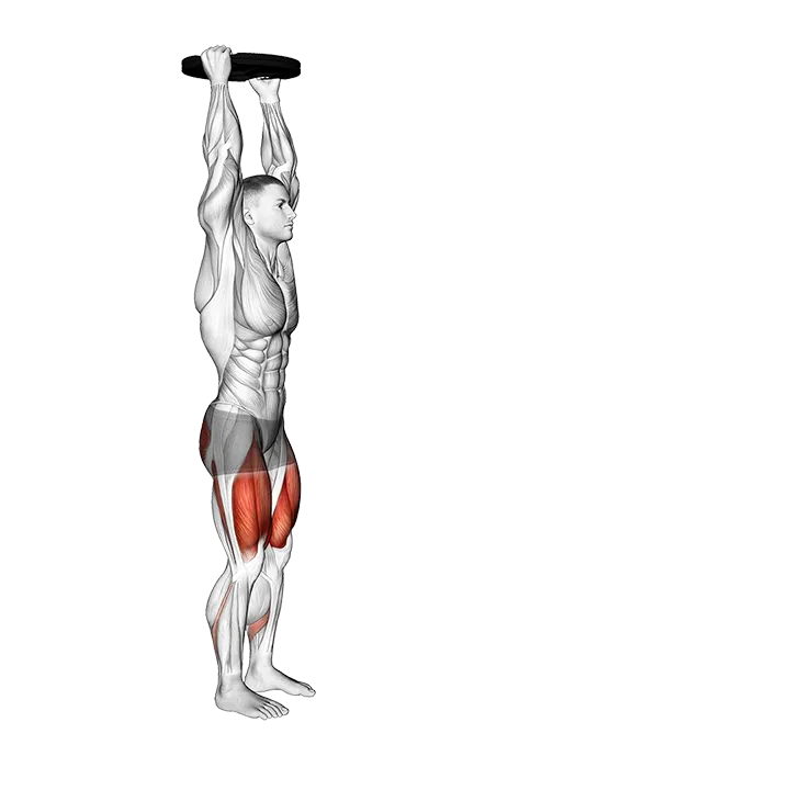 Weighted Plate Overhead Forward Lunge exercise animation (Male)