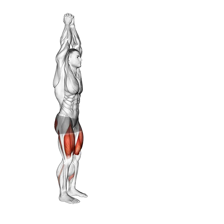 Bodyweight Overhead Forward Lunge exercise animation (Male)
