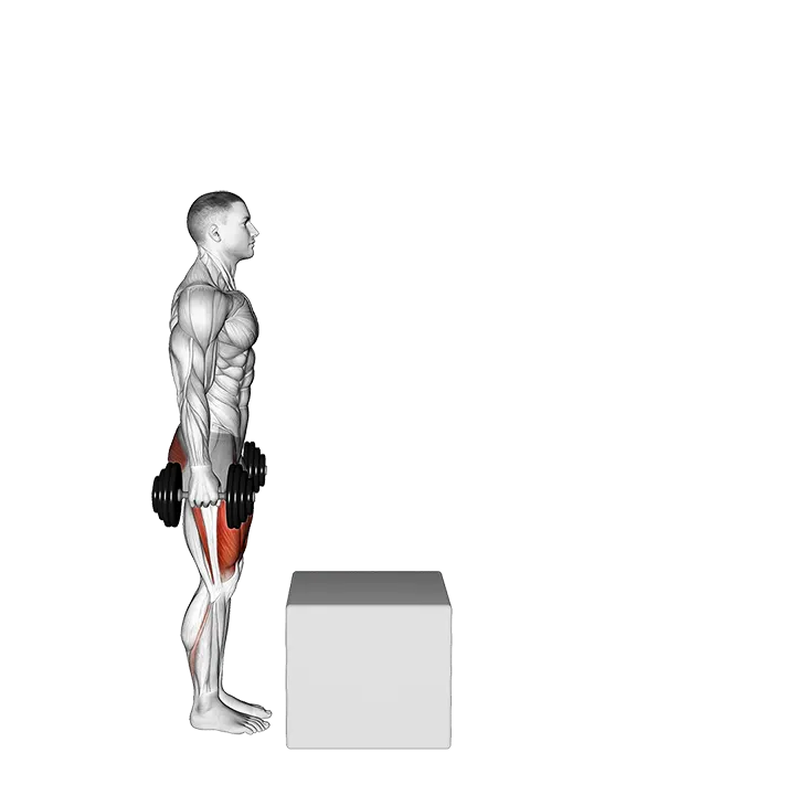 Dumbbell Step over Box exercise animation (Male)