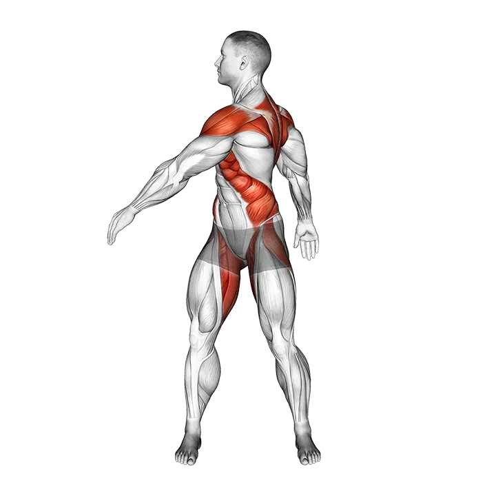 Standing Torso Twist Arms Swing exercise animation (Male)