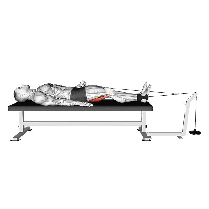 Lever Lying Knee Flexion exercise animation (Male)