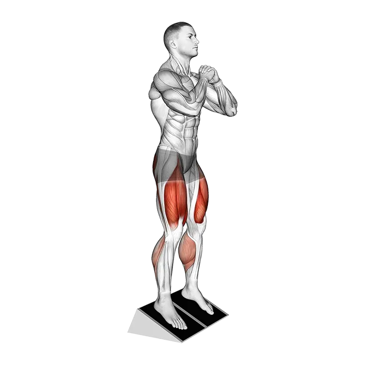 Bodyweight Elevated Heel Front Squat exercise animation (Male)