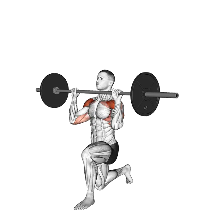Barbell Half Kneeling Shoulders Press exercise animation (Male)