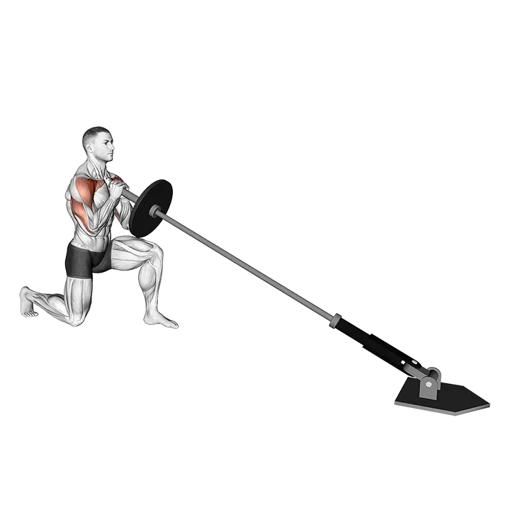 Landmine Half Kneeling Shoulders Press exercise animation (Male)