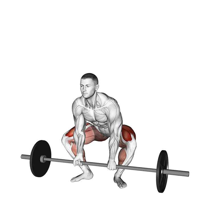 Barbell Frog Stance Deadlift exercise animation (Male)