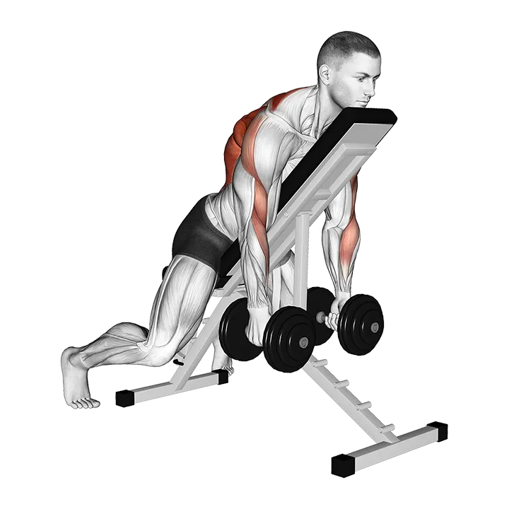 Dumbbell Row with Chest Supported exercise animation (Male)