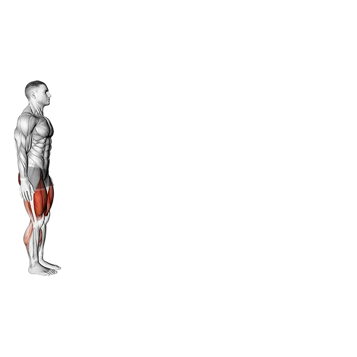 Bodyweight Walking Low Lunge exercise animation (Male)