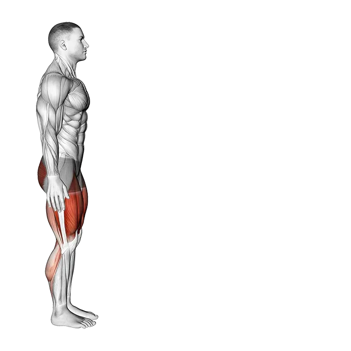 Long Distance Lunge (Low Lunge) exercise animation (Male)