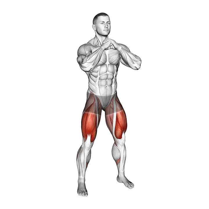 Bodyweight Pulse Goblet Squat exercise animation (Male)