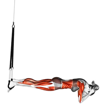 Suspender Headstand
