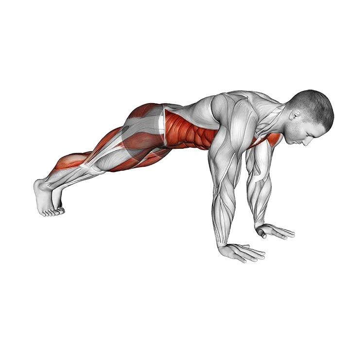 Plank Leg Lift Mountain Climber exercise animation (Male)